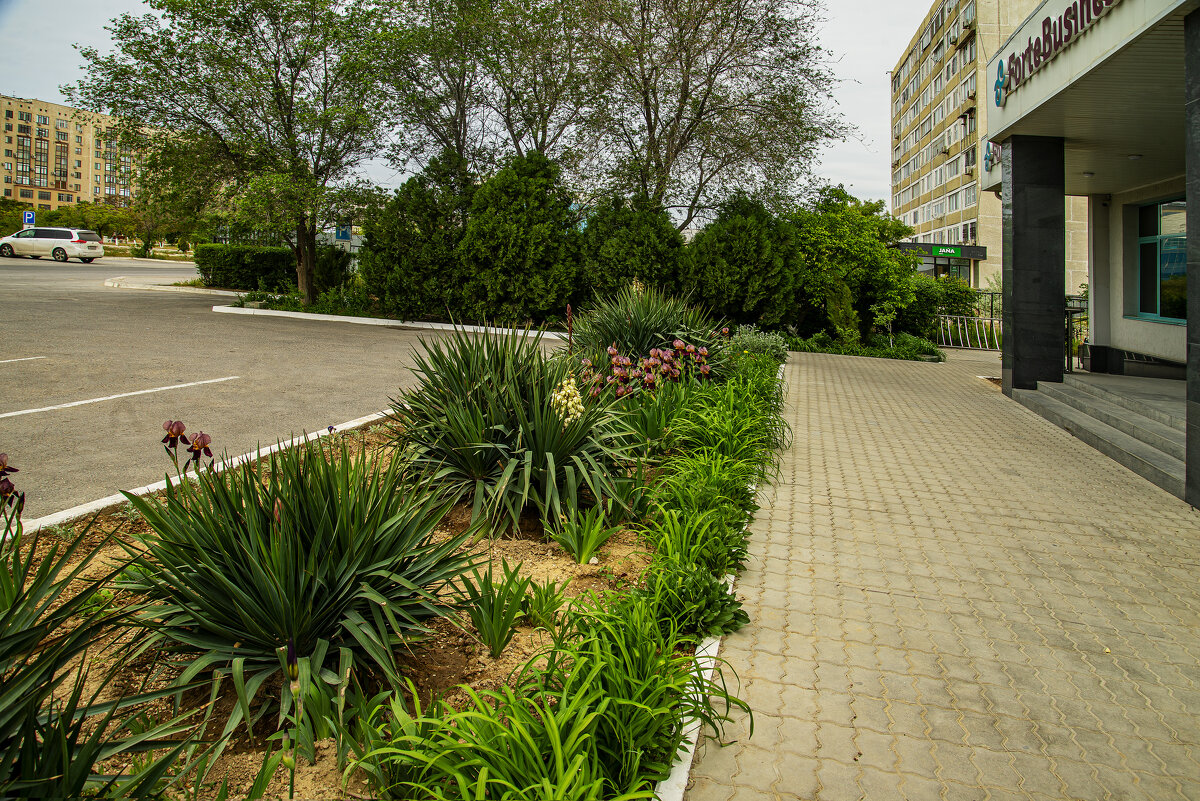 Актау - Анатолий Чикчирный Актау - Анатолий Чикчирный