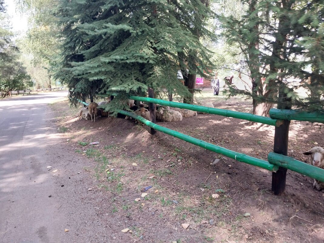 Talgar. - Murat Bukaev 