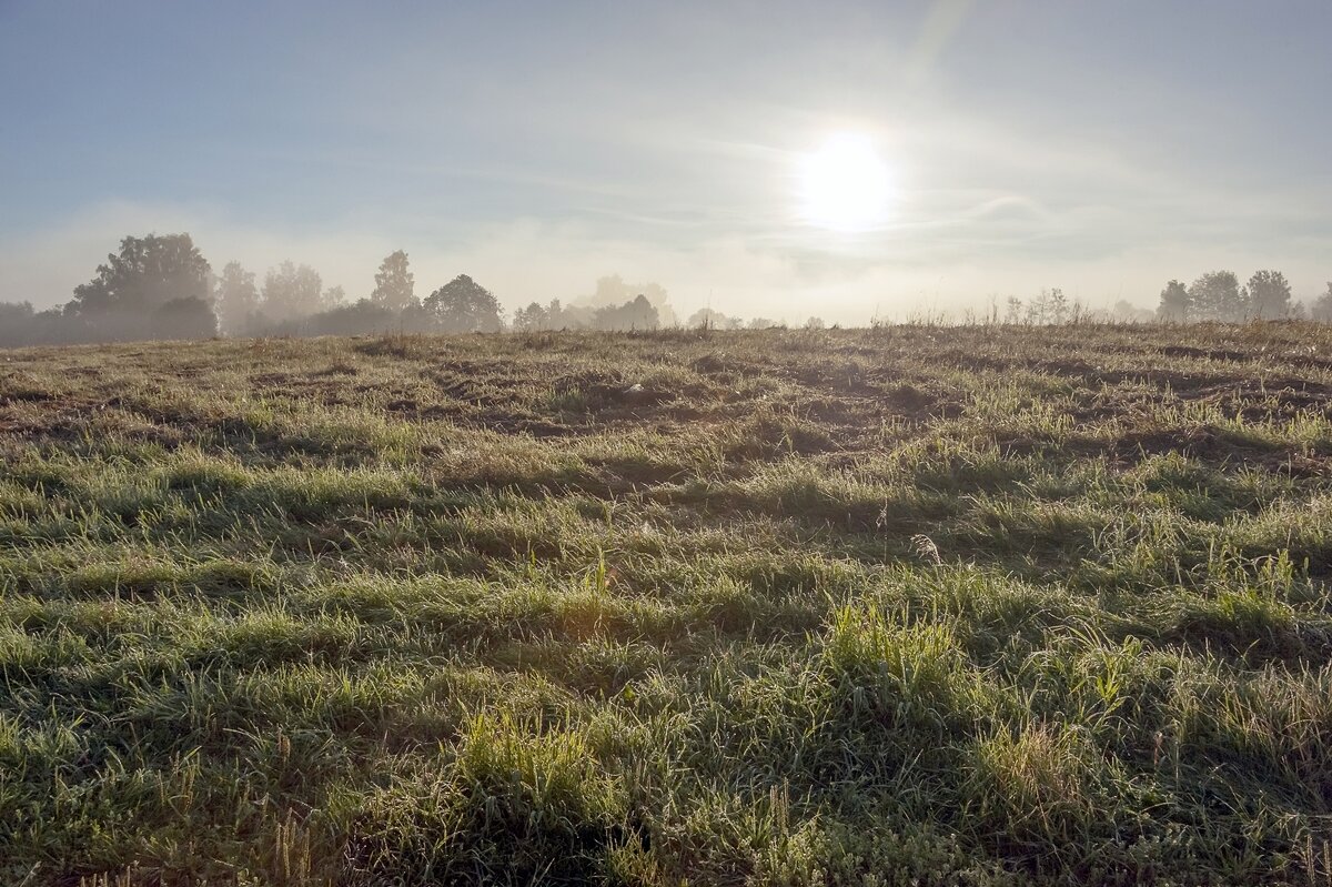 После дождя - Валерий Иванович После дождя - Валерий Иванович