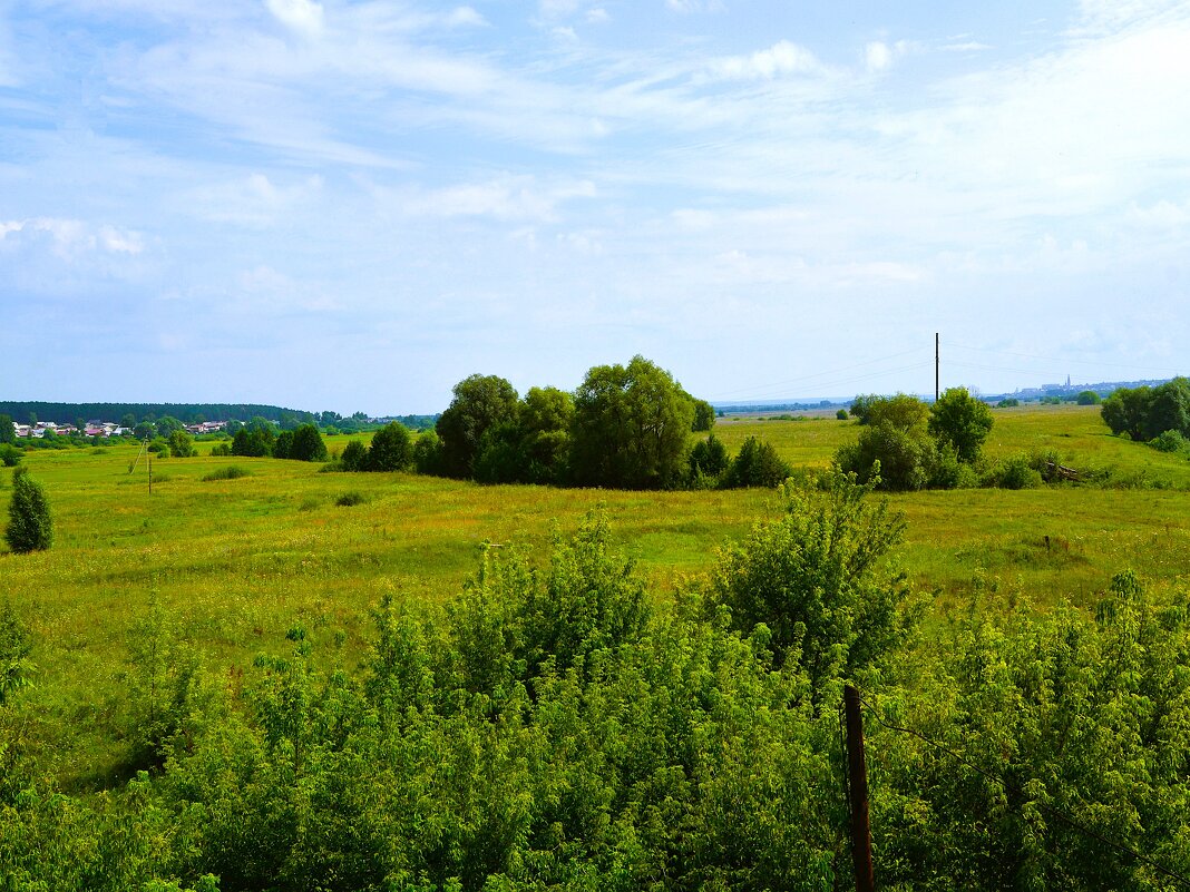 Алатырь. Летним днём за городом в западных окрестностях. - Пётр Чернега