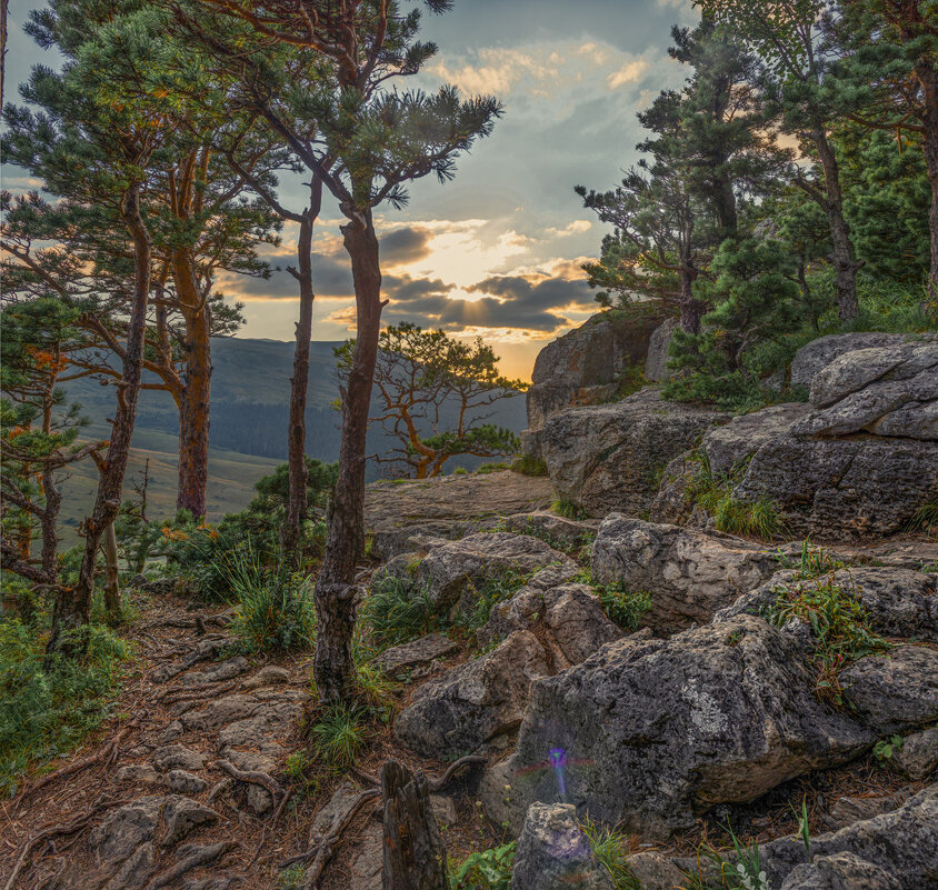 *** - Аnatoly Gaponenko