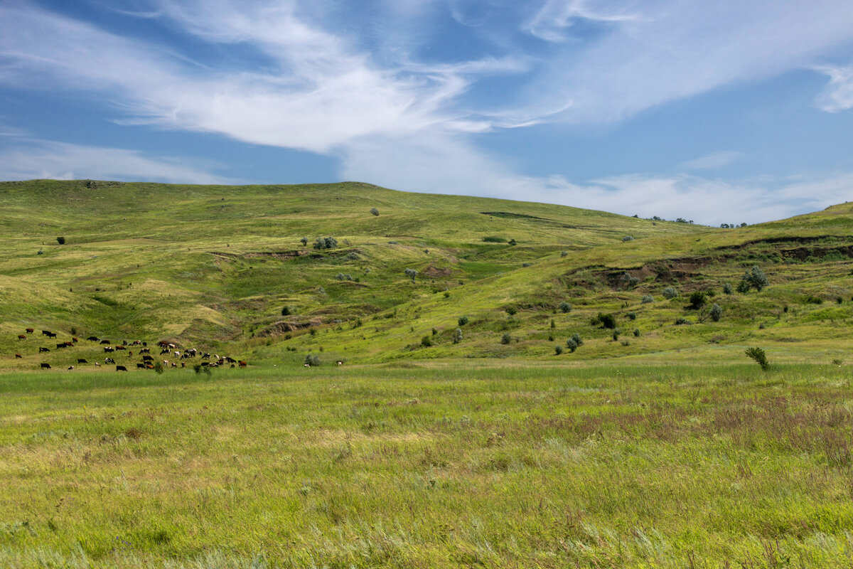 Окрестности - Игорь Сикорский