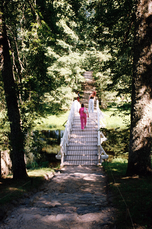 Горбатый мостик в Михайловском. Фото на плёнку - Олег Зоркий