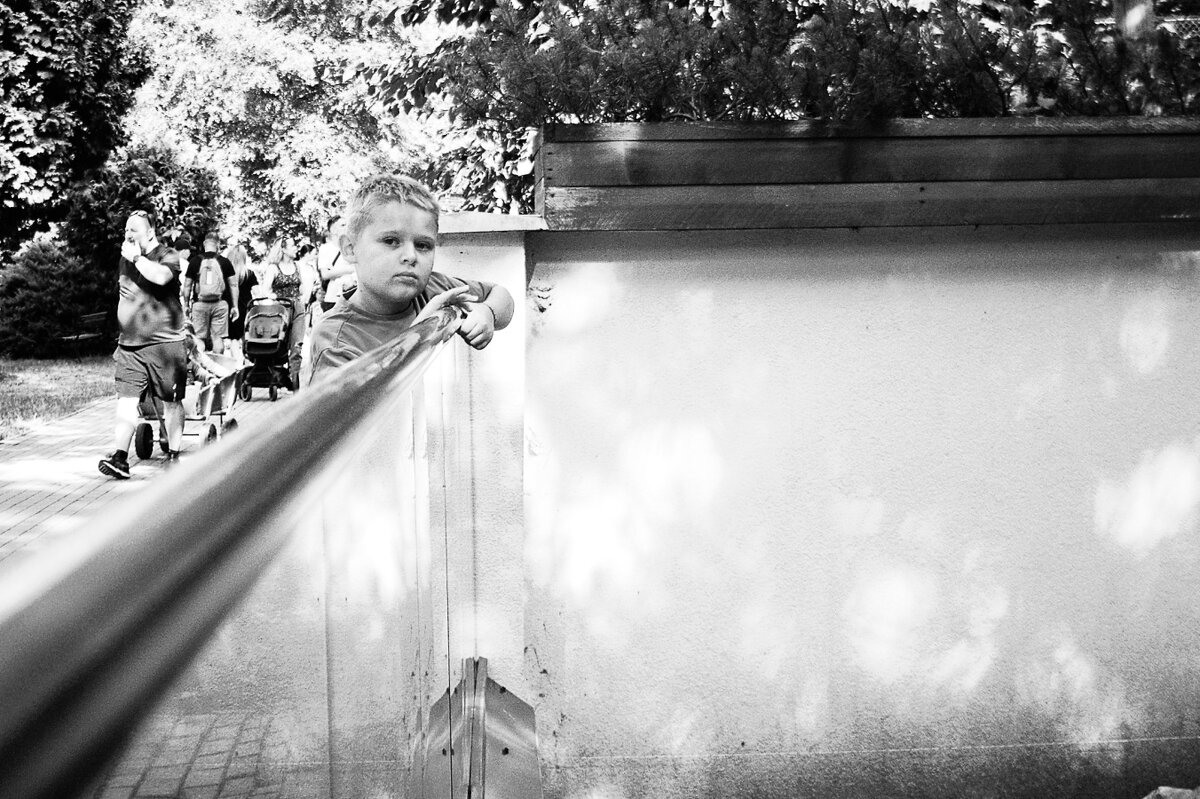 отпуск в зоопарке - Jiří Valiska отпуск в зоопарке - Jiří Valiska