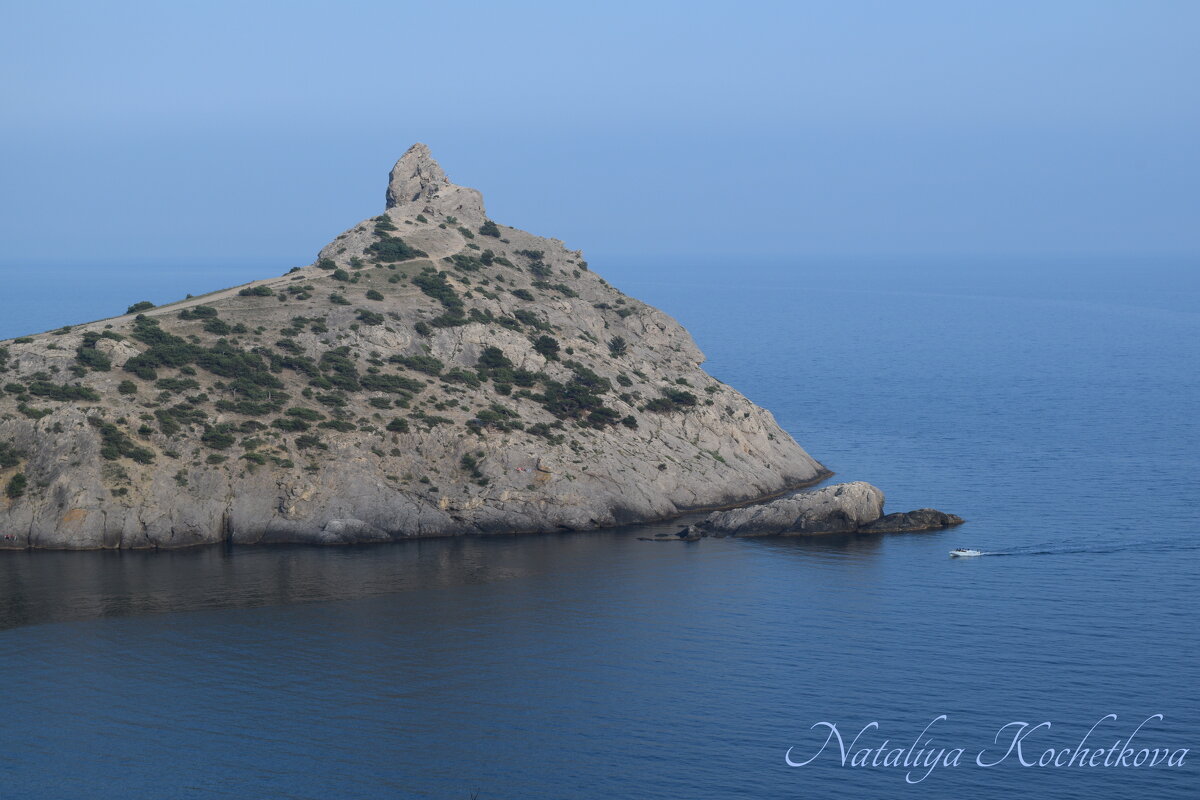 Природа Крыма - Amazing Cosmea