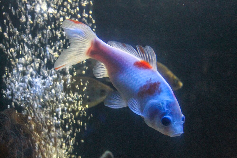 Морской релакс - Мария Реброва