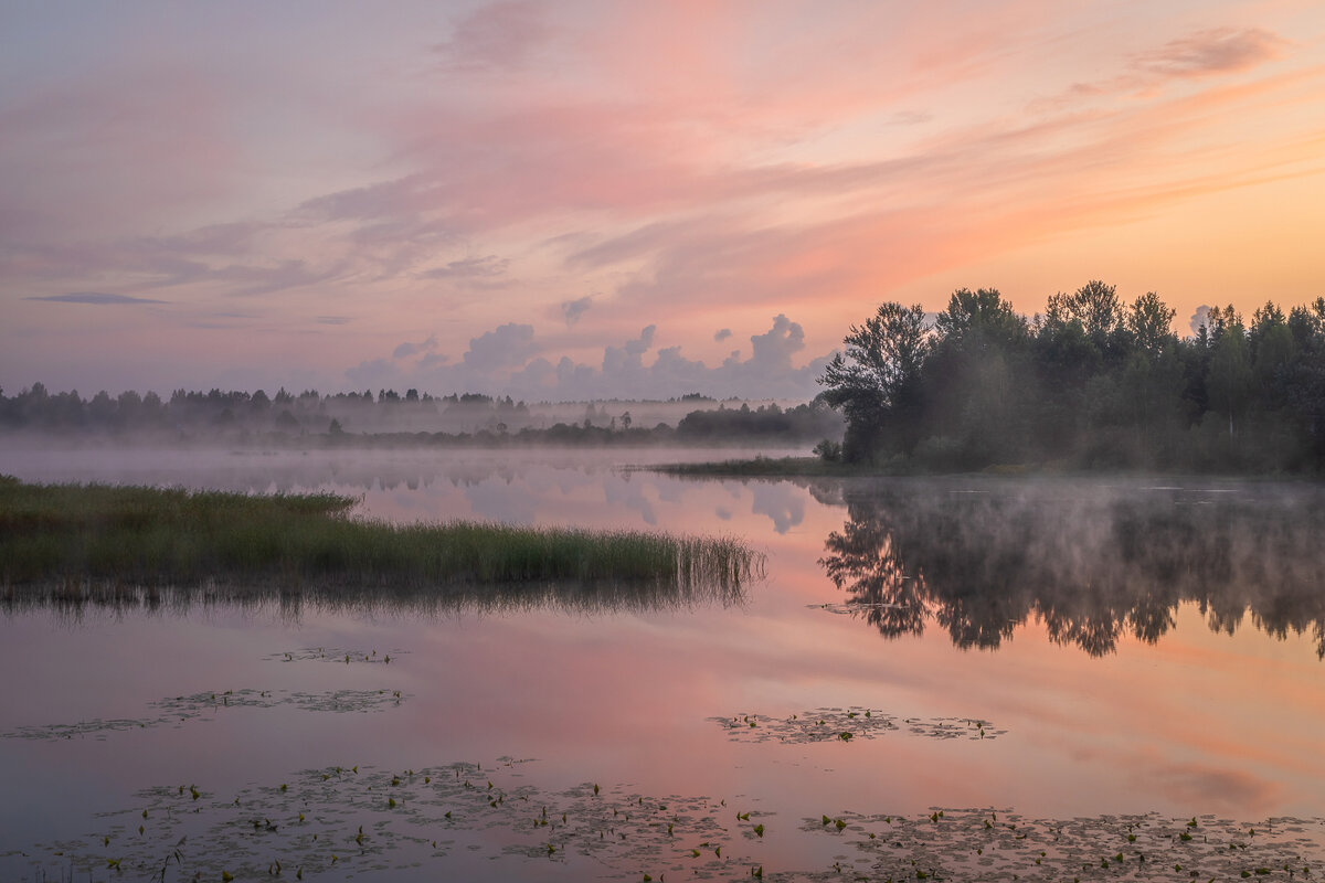 **** - Елизавета .