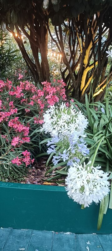 фестиваль  Индии - Галина R...