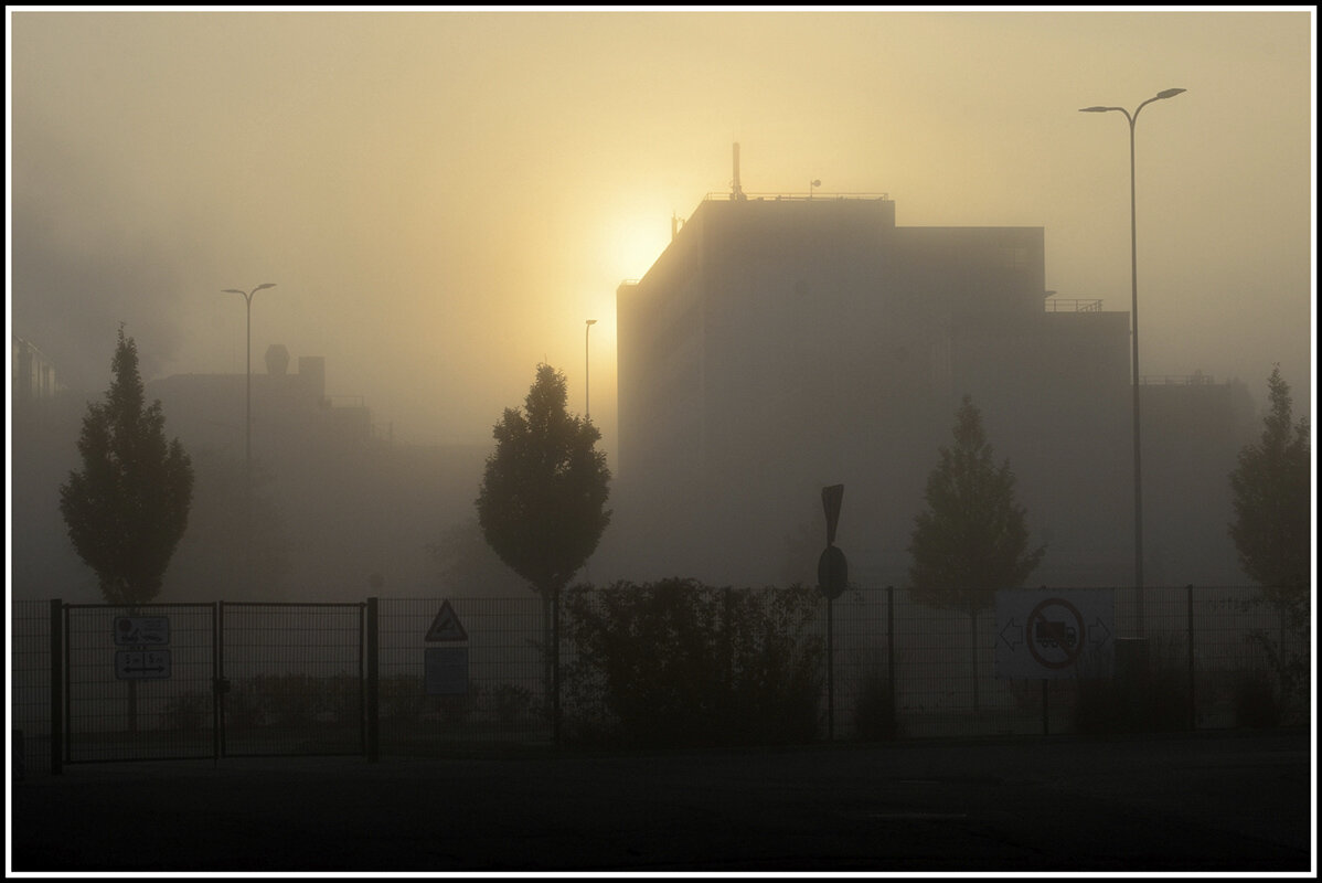 Восход - Aleksandr Gal