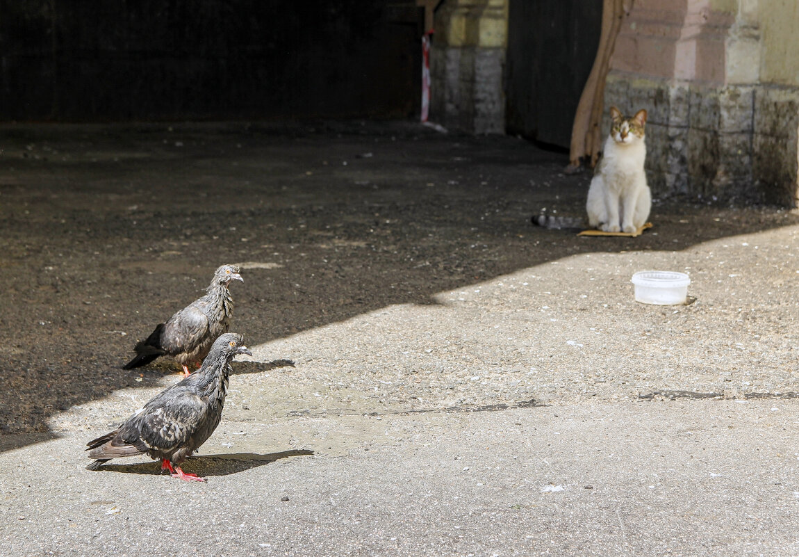 Троица - skijumper Иванов