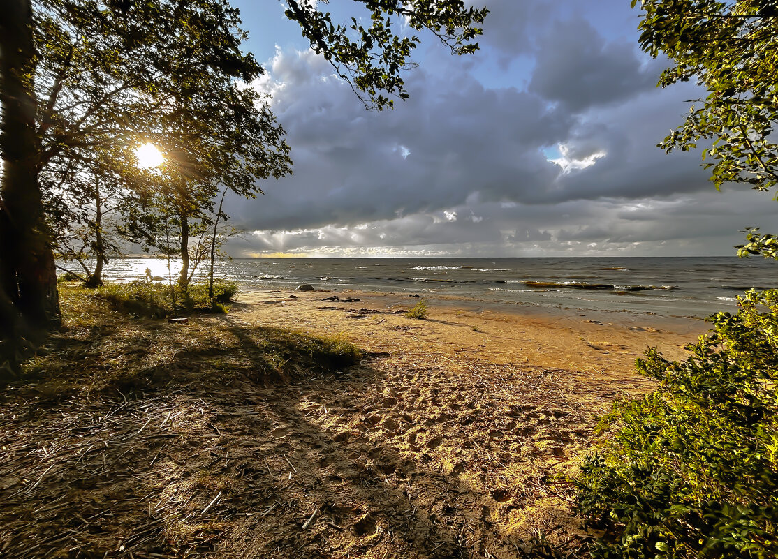 Берег БАЛТИКИ - Дмитрий Иванов