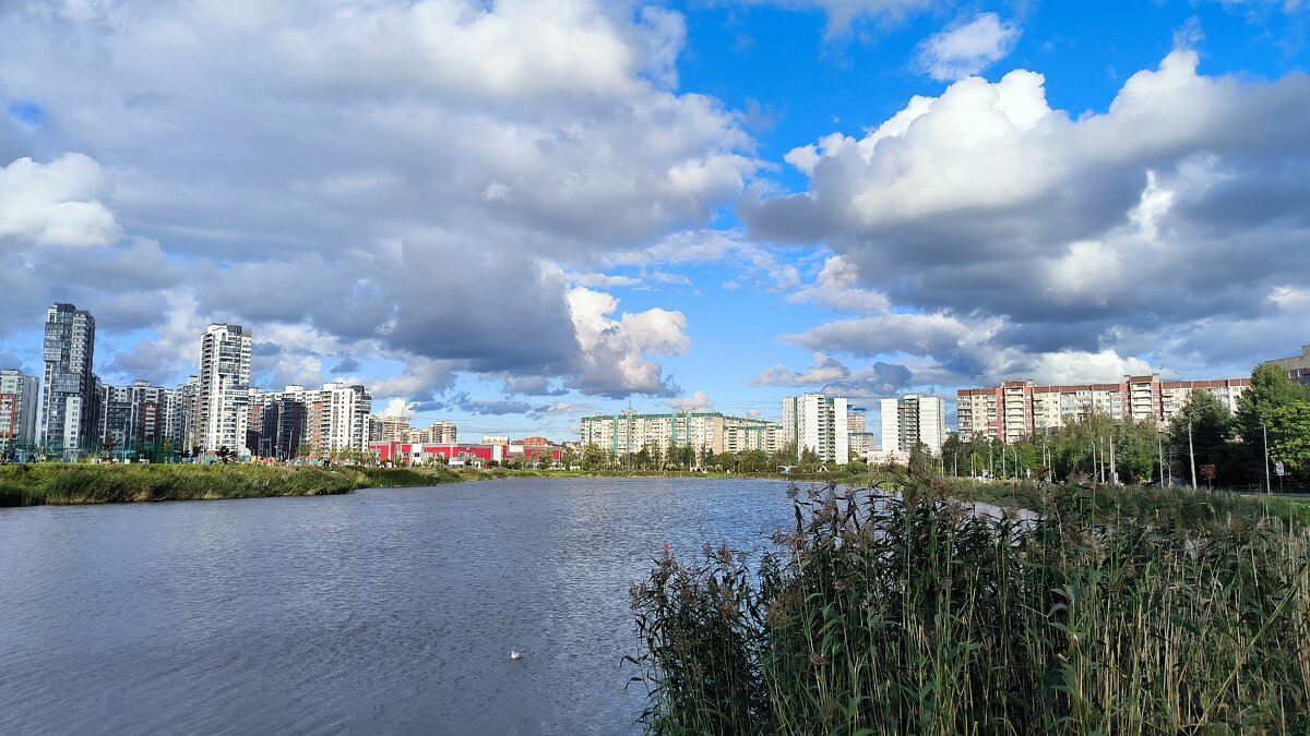 Озеро Долгое. - Ольга 