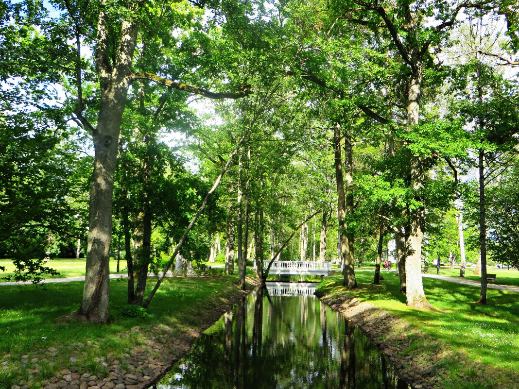 парк - марта Камушкина