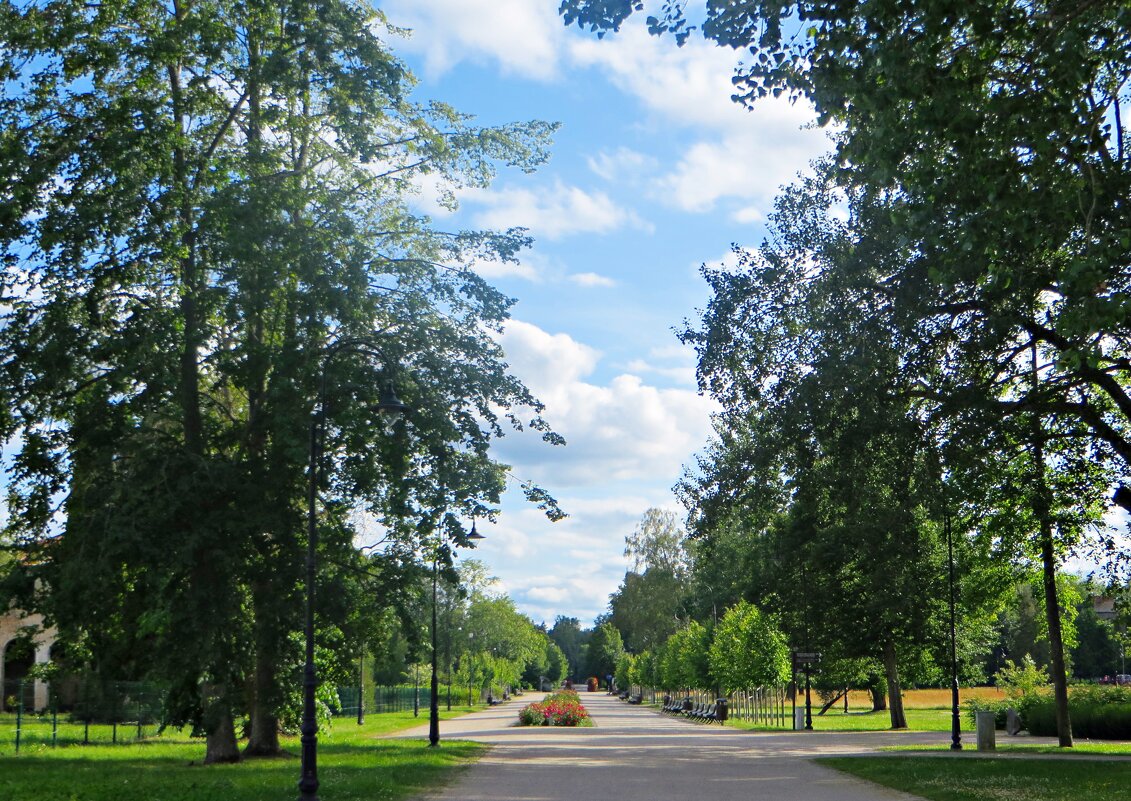 парк - марта Камушкина