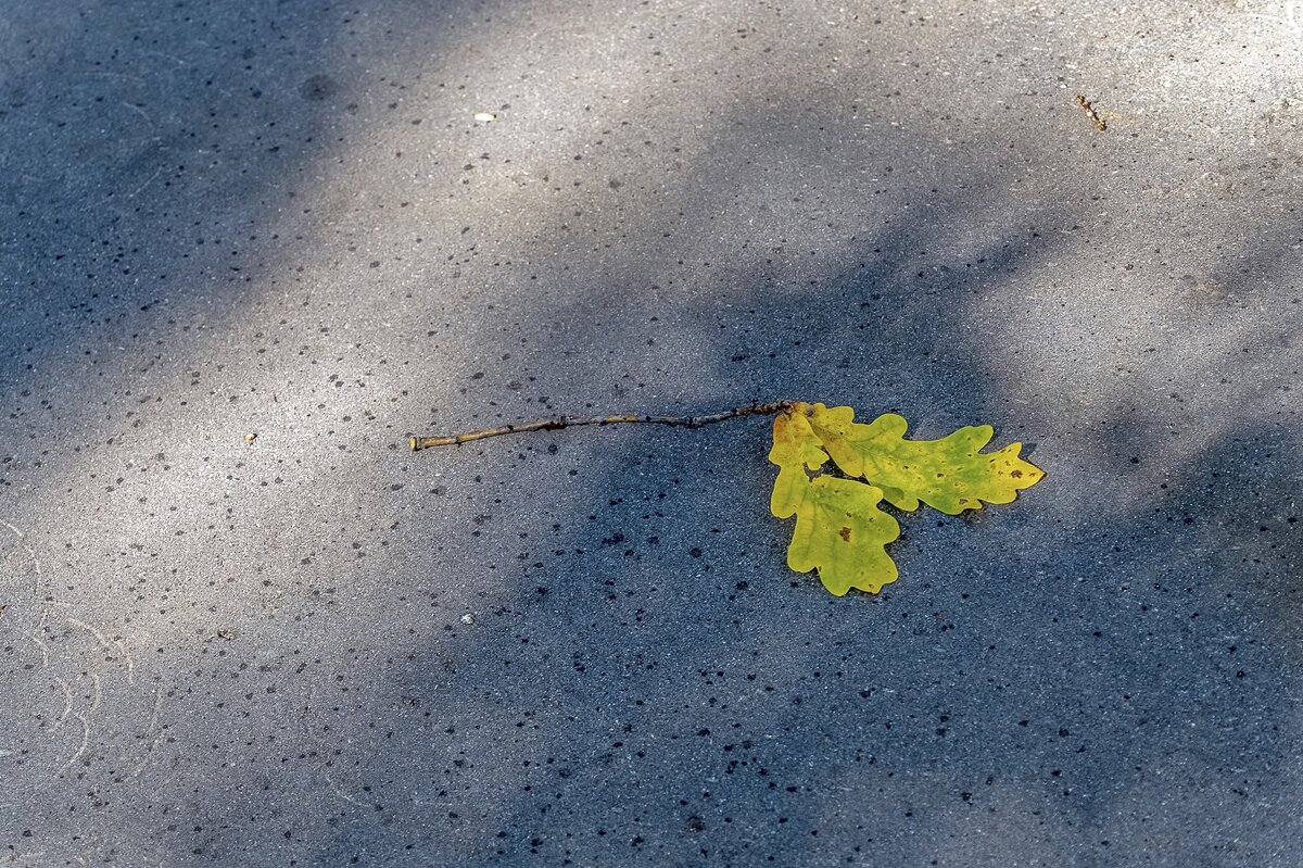 А осень крадётся... - Валерий Иванович