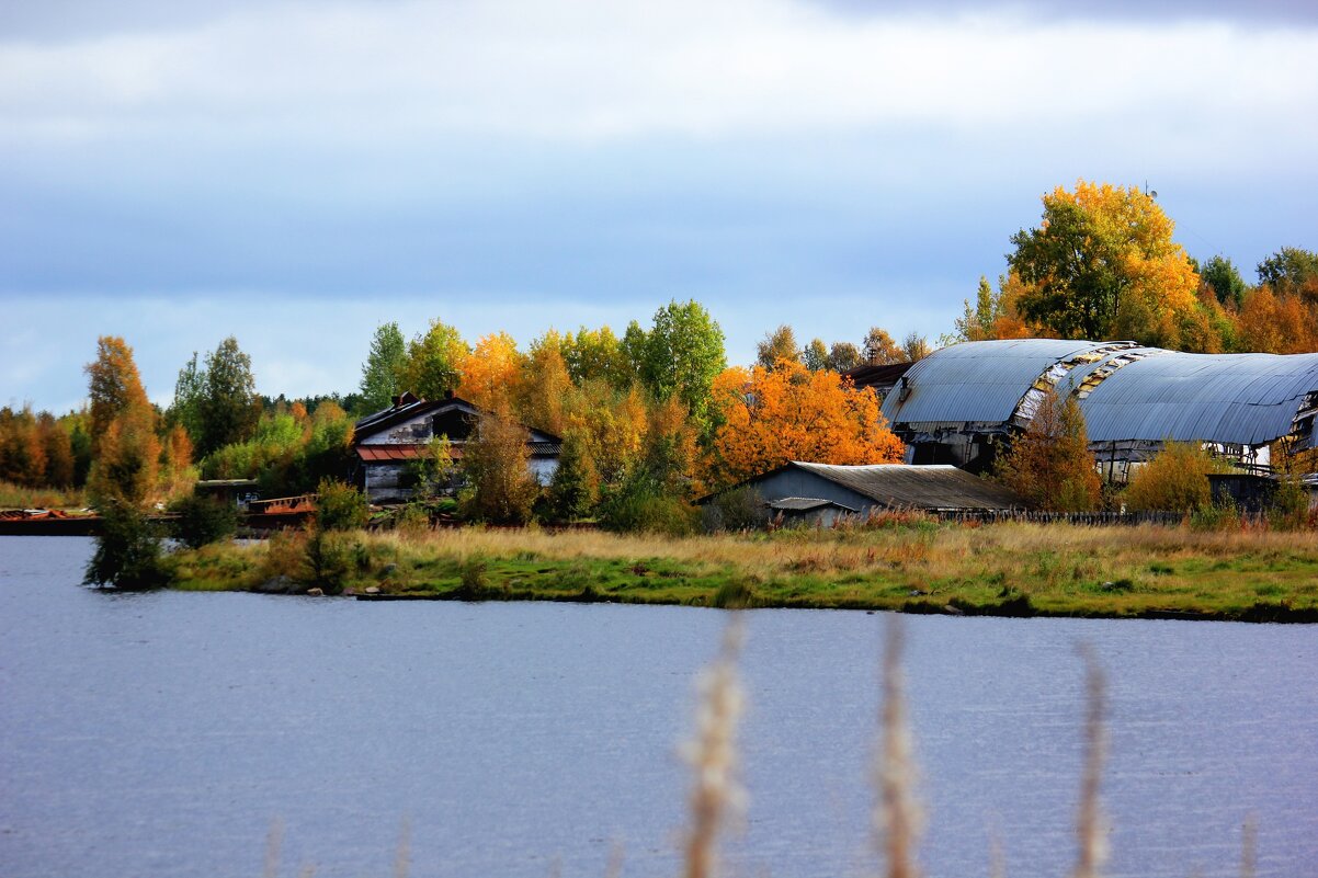 Осень - Сергей Кочнев
