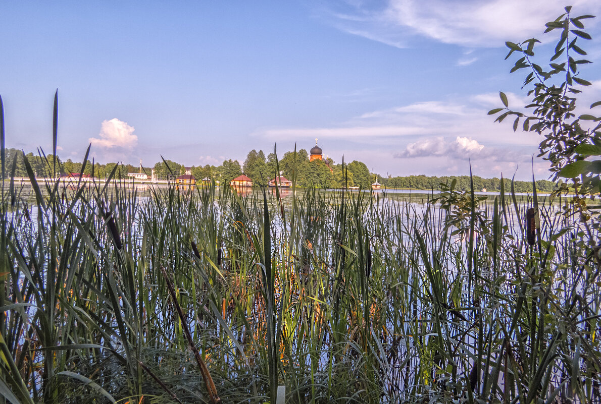 Заросшие берега - Сергей Цветков Заросшие берега - Сергей Цветков