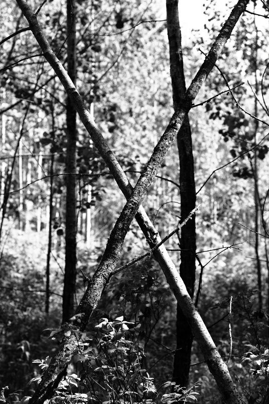 Назва. отсу. - Денис Безногов