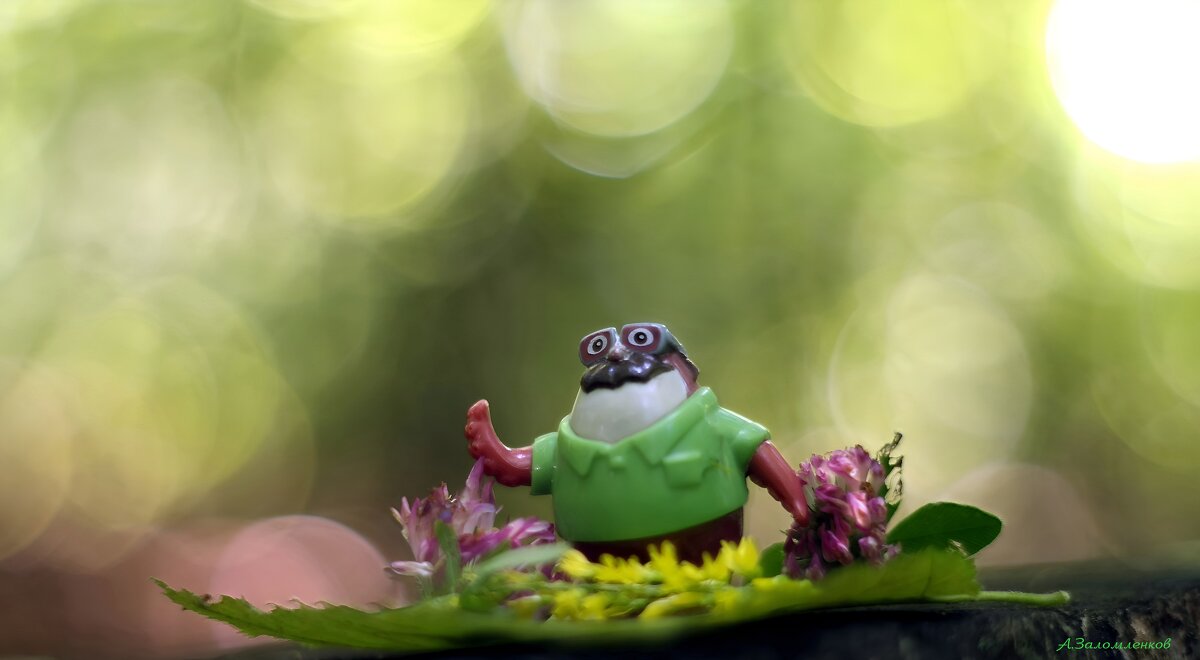 А вы снимаете на старые мануальные объективы? :-) - Андрей Заломленков