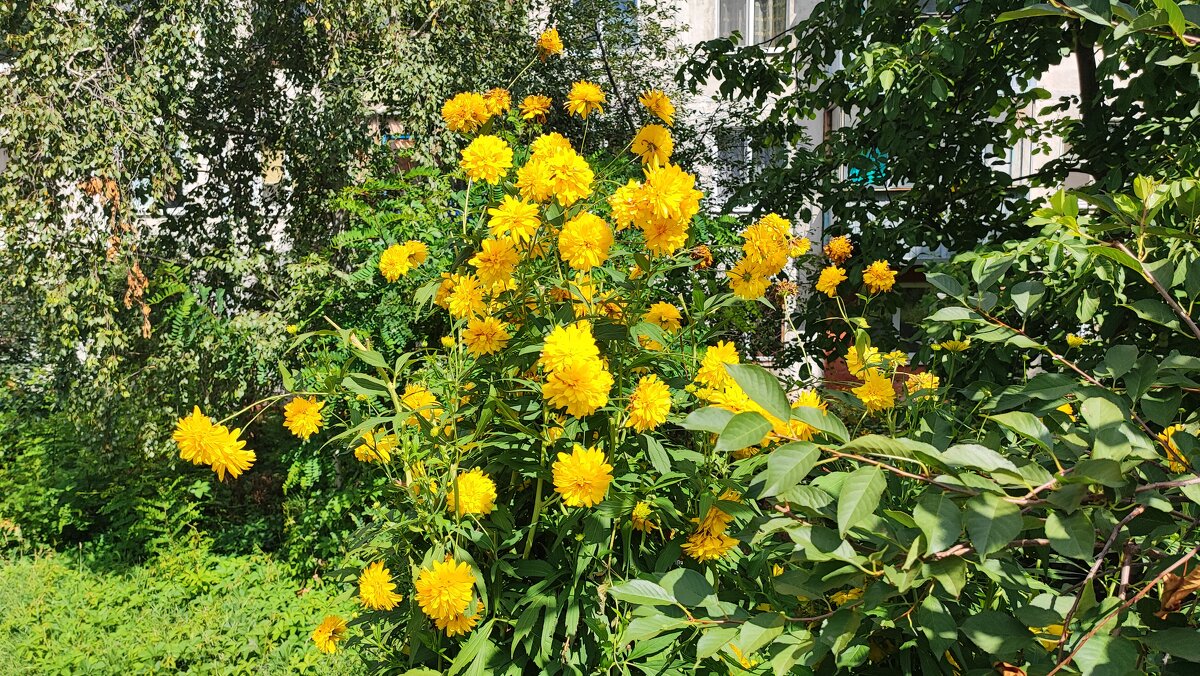 ,,, - Сергей Тимоновский ,,, - Сергей Тимоновский