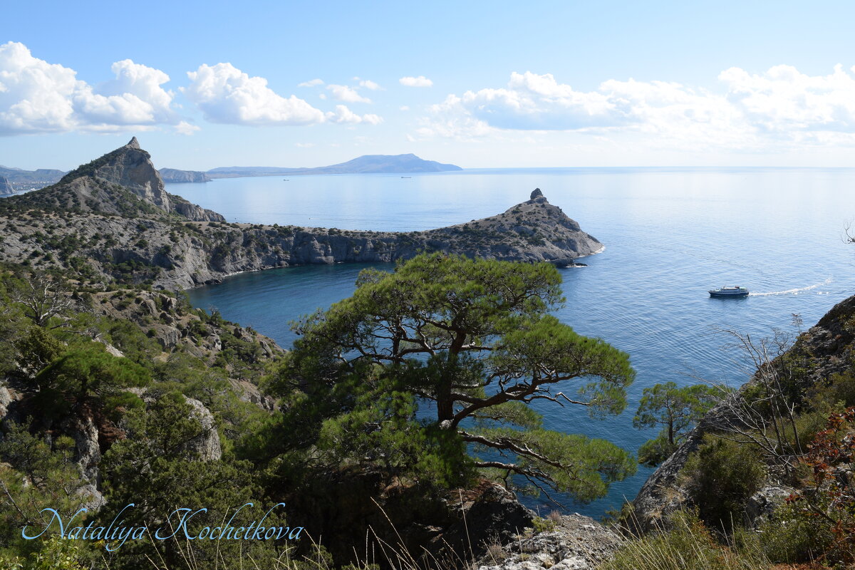 Природа Крыма - Amazing Cosmea