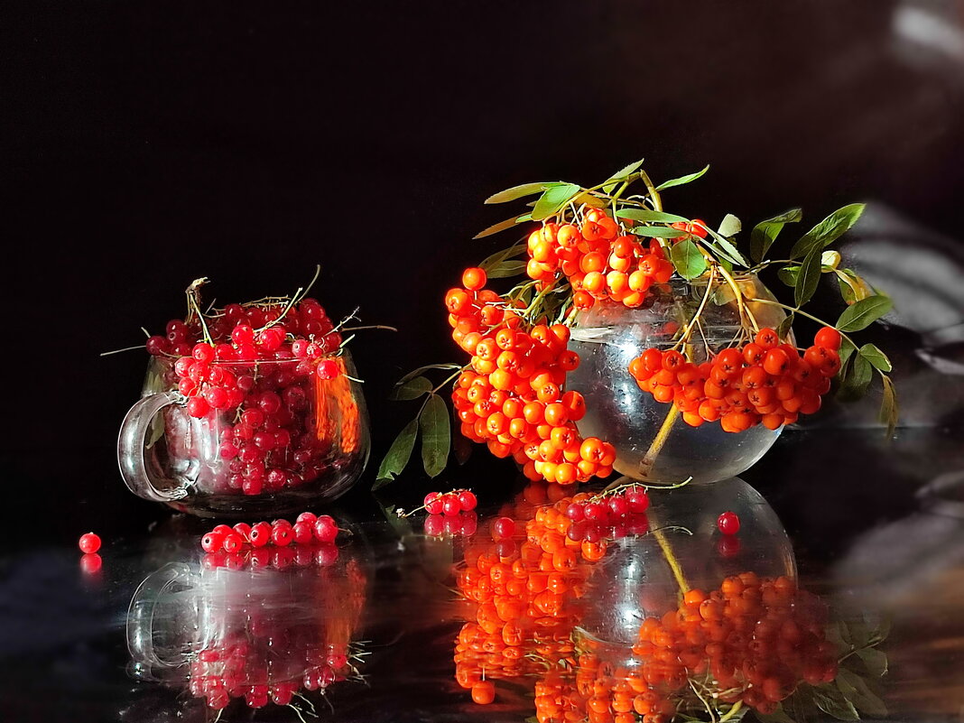 Август - Валентина Богатко 