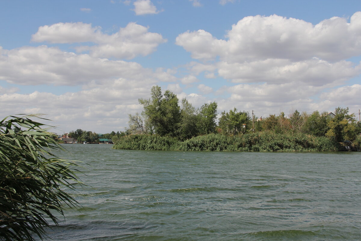 **** - Виктор **** - Виктор