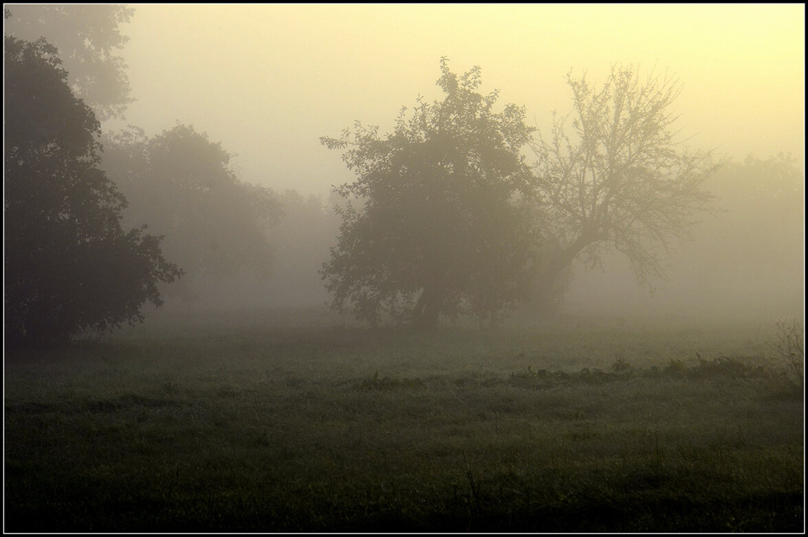 Светает - Aleksandr Gal
