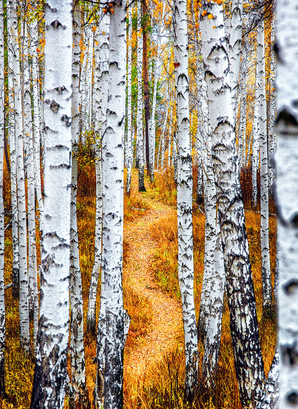 ... - александр 