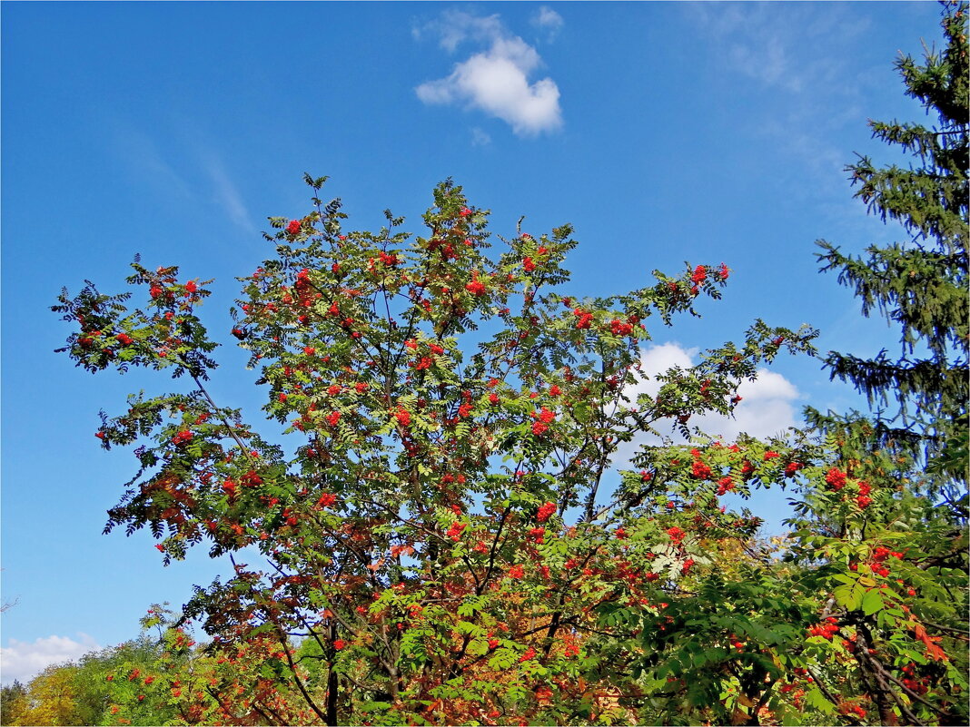 ЛЕТО - Юрий Владимирович 34