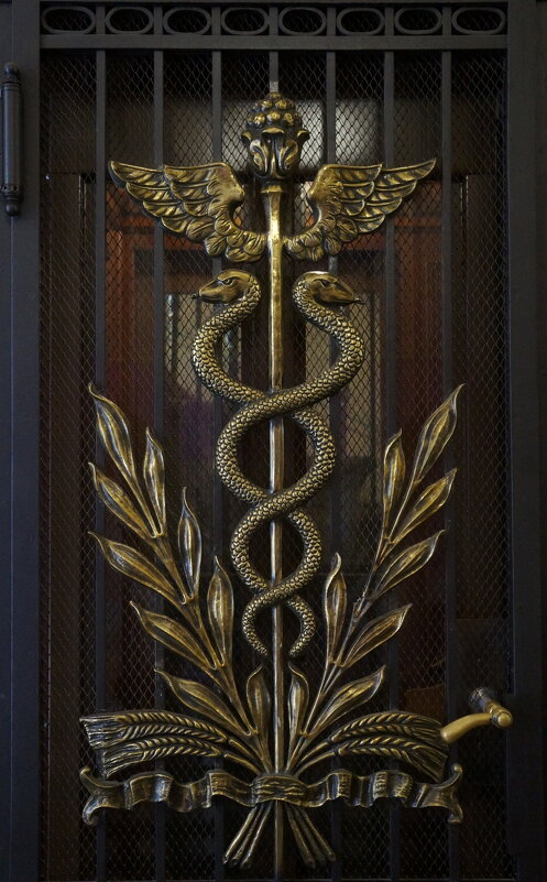 в особняке Сухозанета - zavitok * в особняке Сухозанета - zavitok *