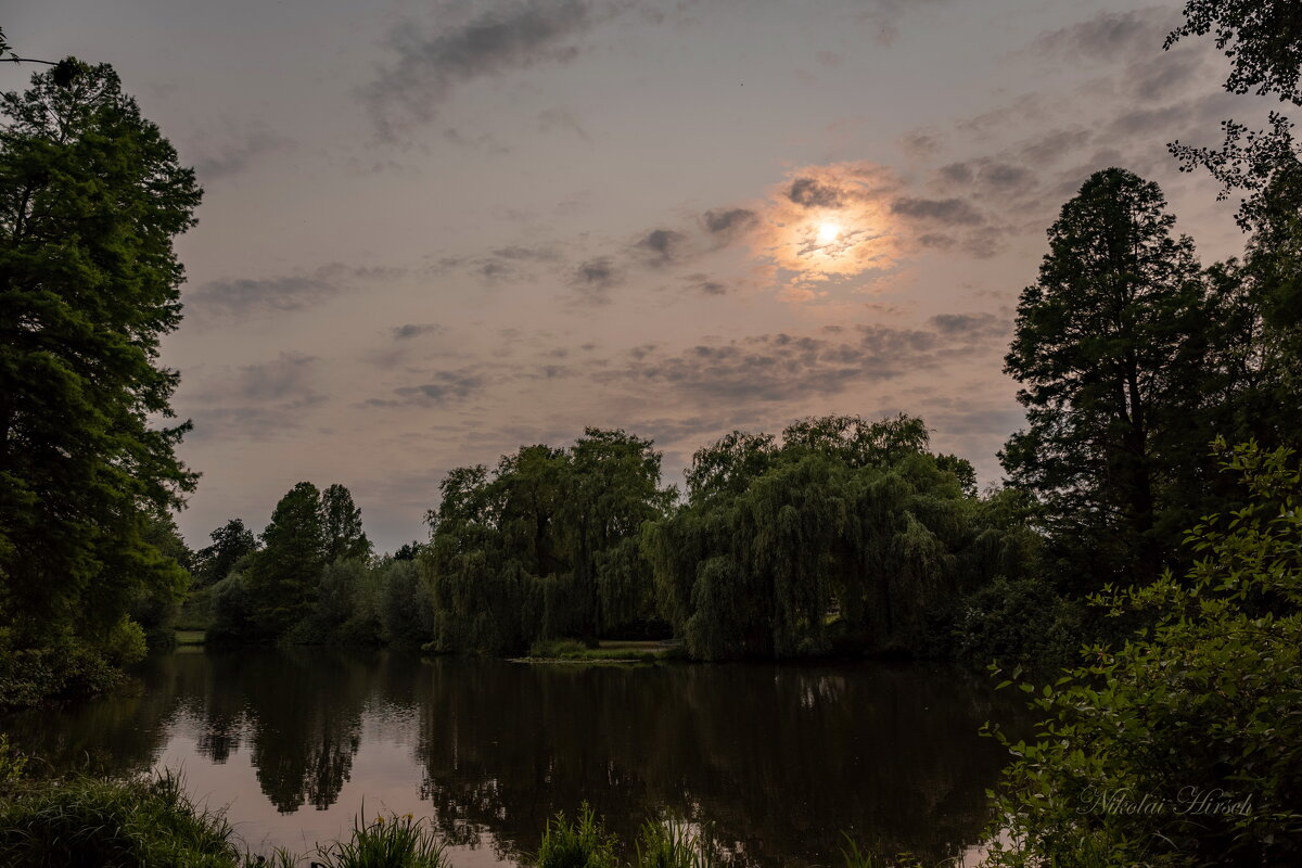Дело к вечеру бежало... - Николай Гирш