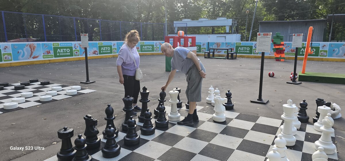 Шахматы - Дмитрий Никитин