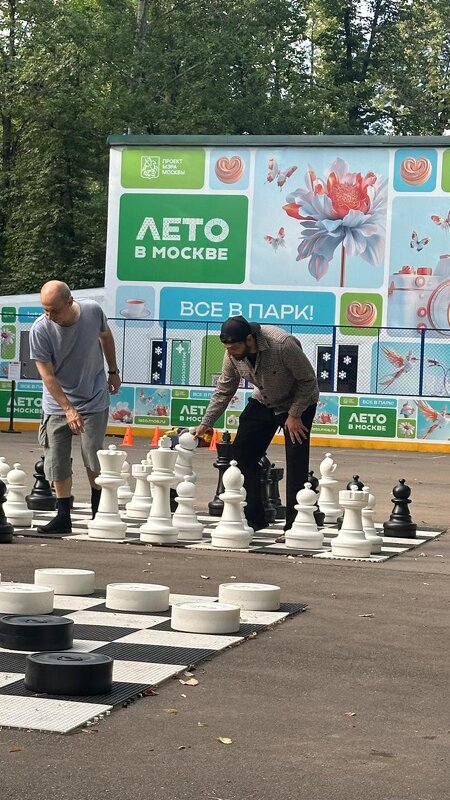 Шахматы - Дмитрий Никитин