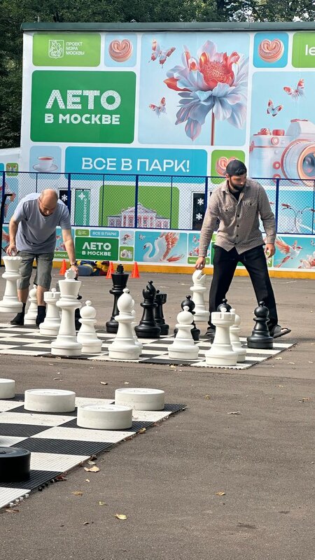 Шахматы - Дмитрий Никитин