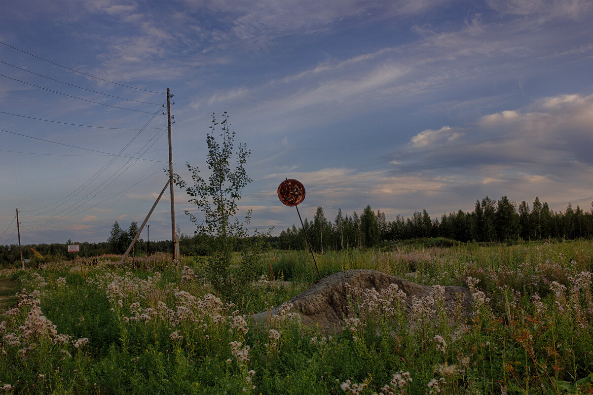 Осторожно, сталкер - Дмитрий Костоусов