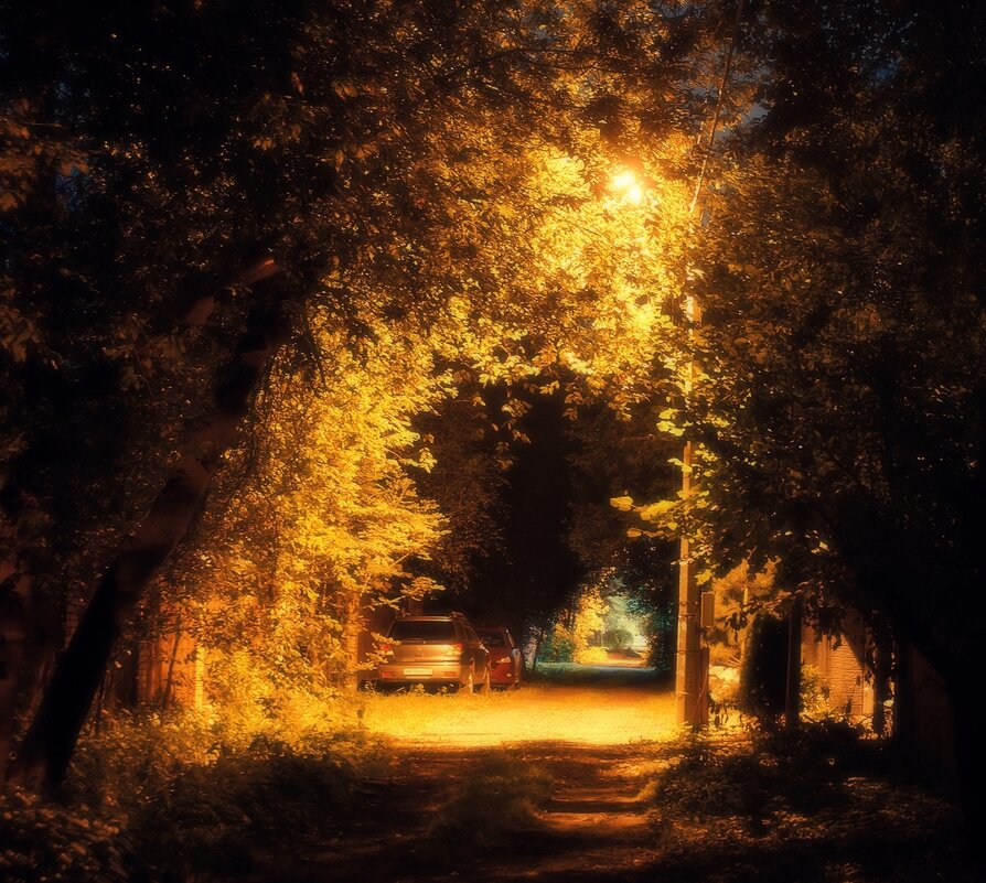 *** - Леонид leo