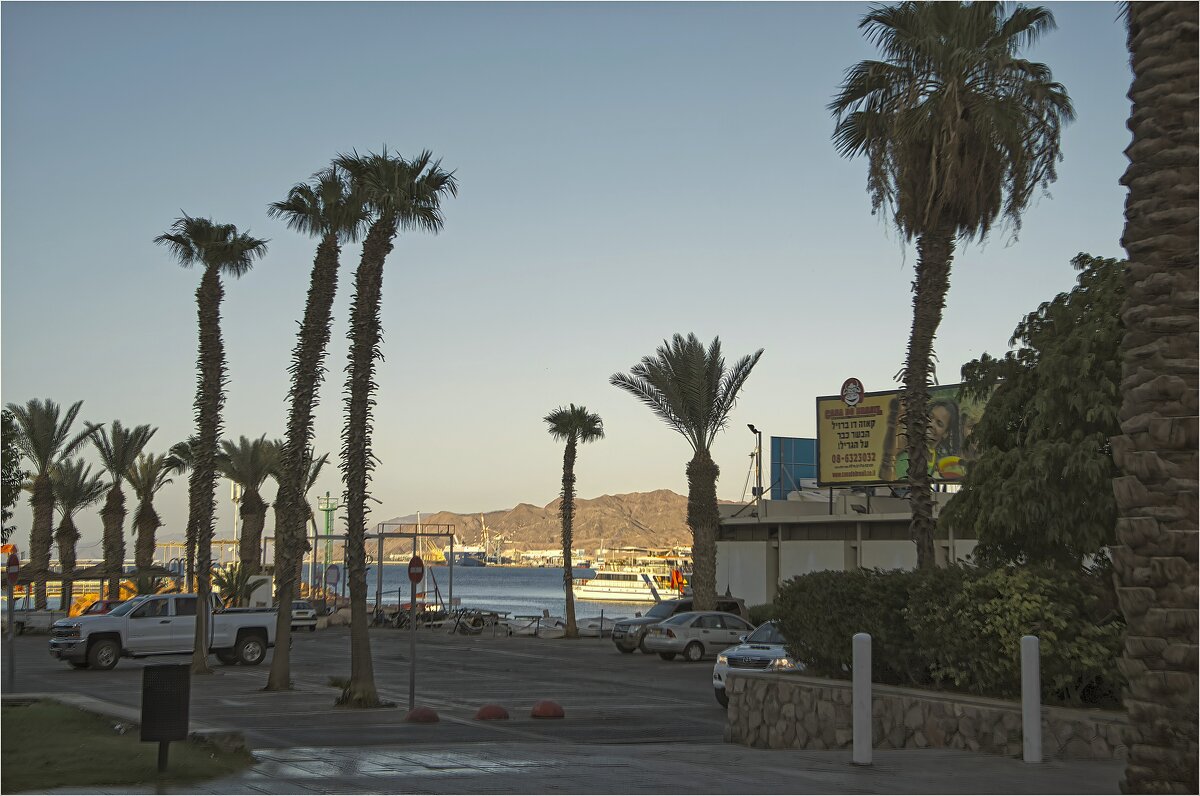 Утро в Эйлате - ujgcvbif 