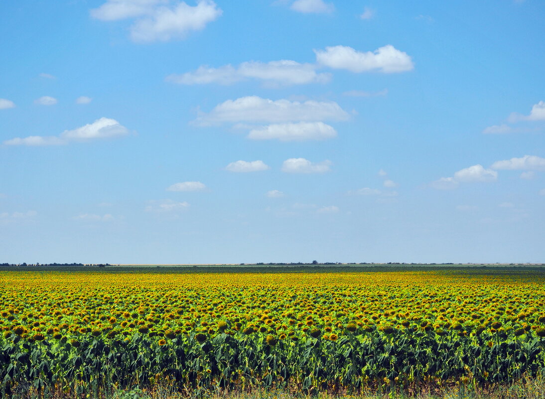 полдень - Всеволод полдень - Всеволод