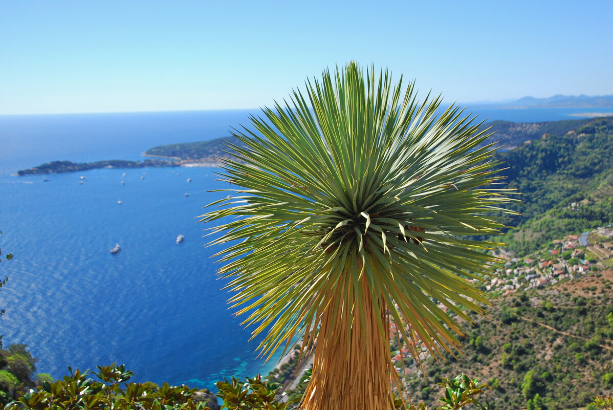 РОЖДЁН С ЖЕЛАНИЕМ ПОХОЖИМ БЫТЬ НА СОЛНЦЕ - Юрий Вовк РОЖДЁН С ЖЕЛАНИЕМ ПОХОЖИМ БЫТЬ НА СОЛНЦЕ - Юрий Вовк