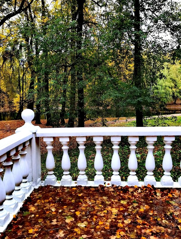 Осень - Любимова Ольга 