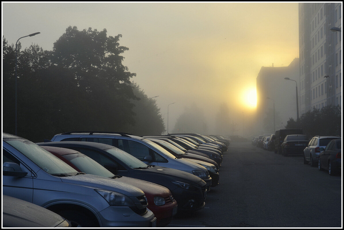 Спят усталые игрушки... - Aleksandr Gal
