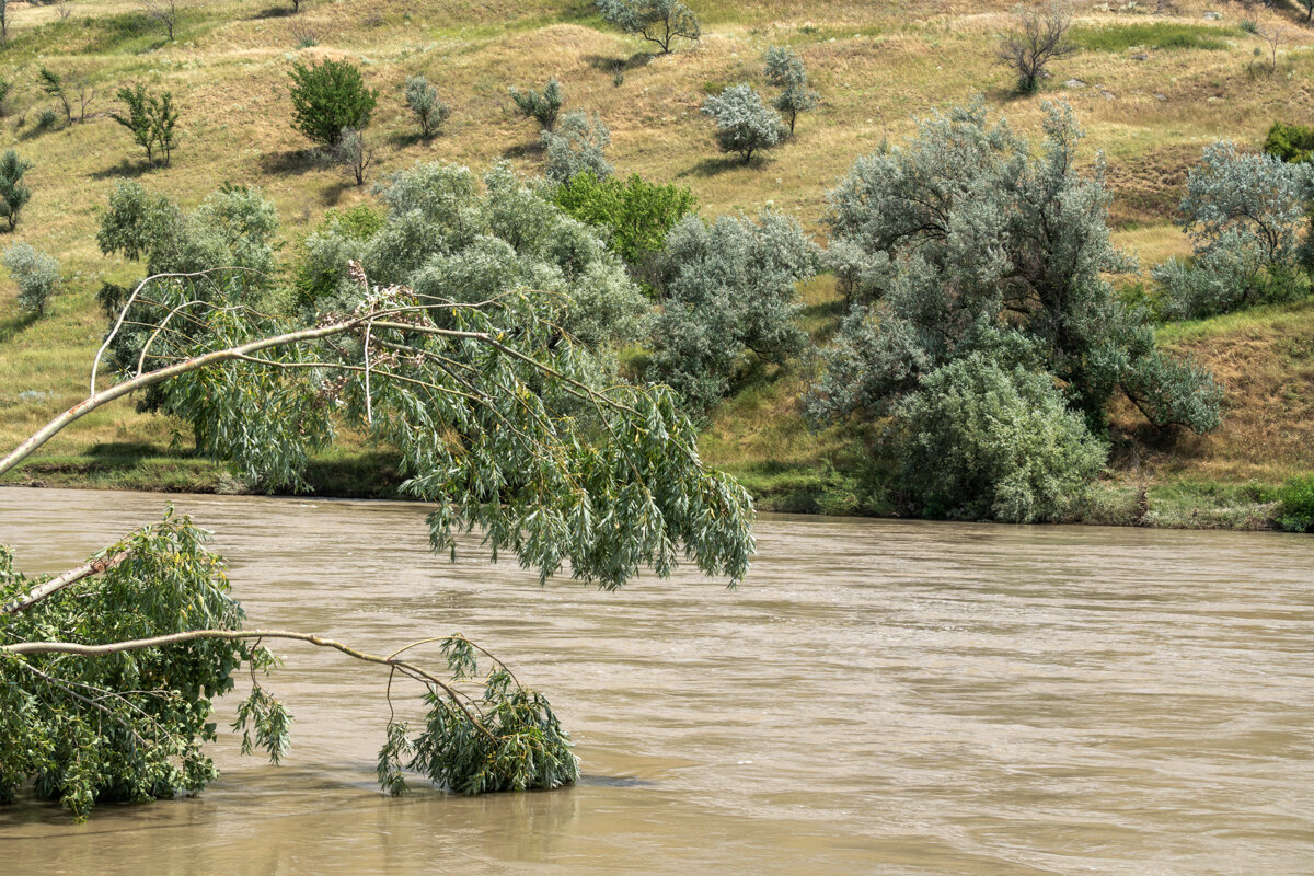 Река Кубань - Игорь Сикорский