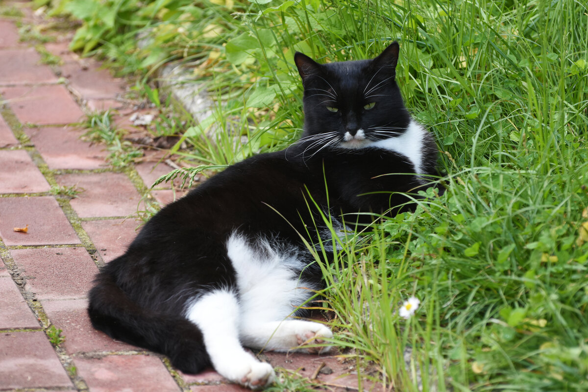 Весна в Ботаническом... Май. - Наташа ***** Весна в Ботаническом... Май. - Наташа *****