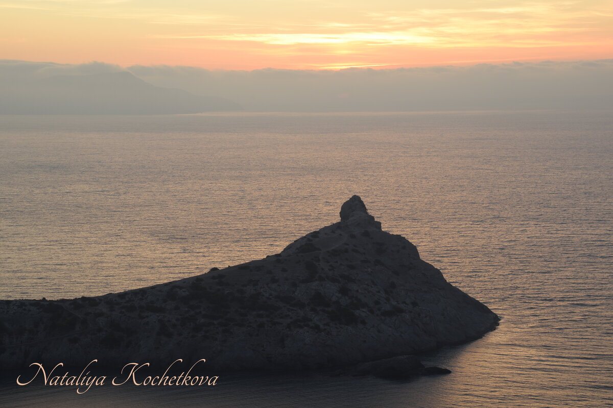 Природа Крыма - Amazing Cosmea