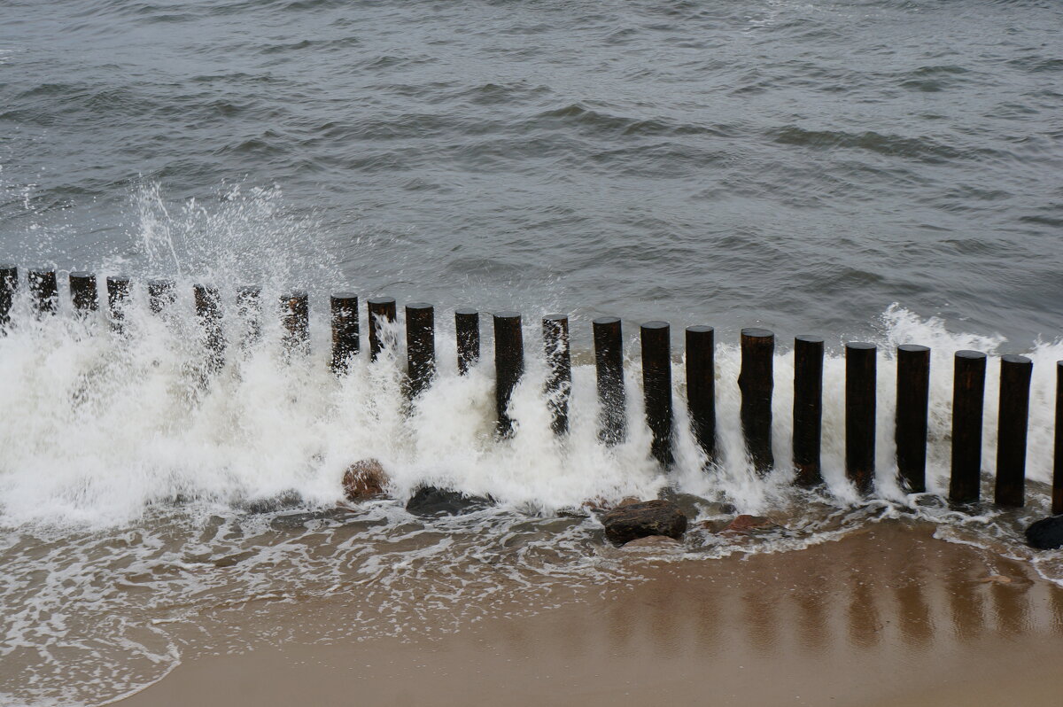 ~~~ ** ~~~ - Алёна Савина