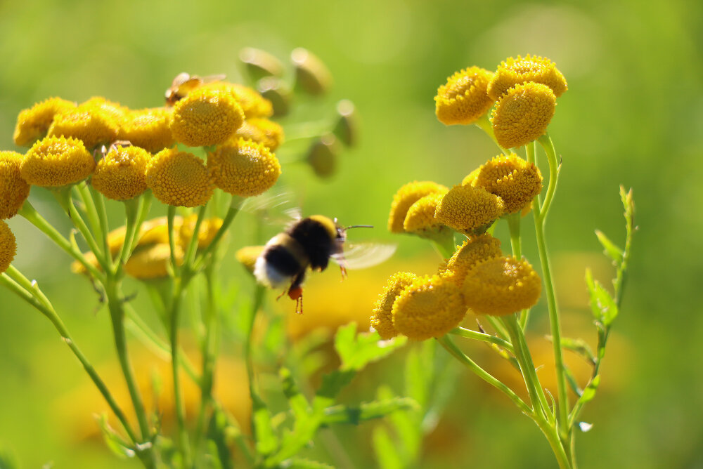 Фрагменты лета - Галина Ильясова