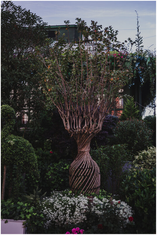 *** - someone somewere