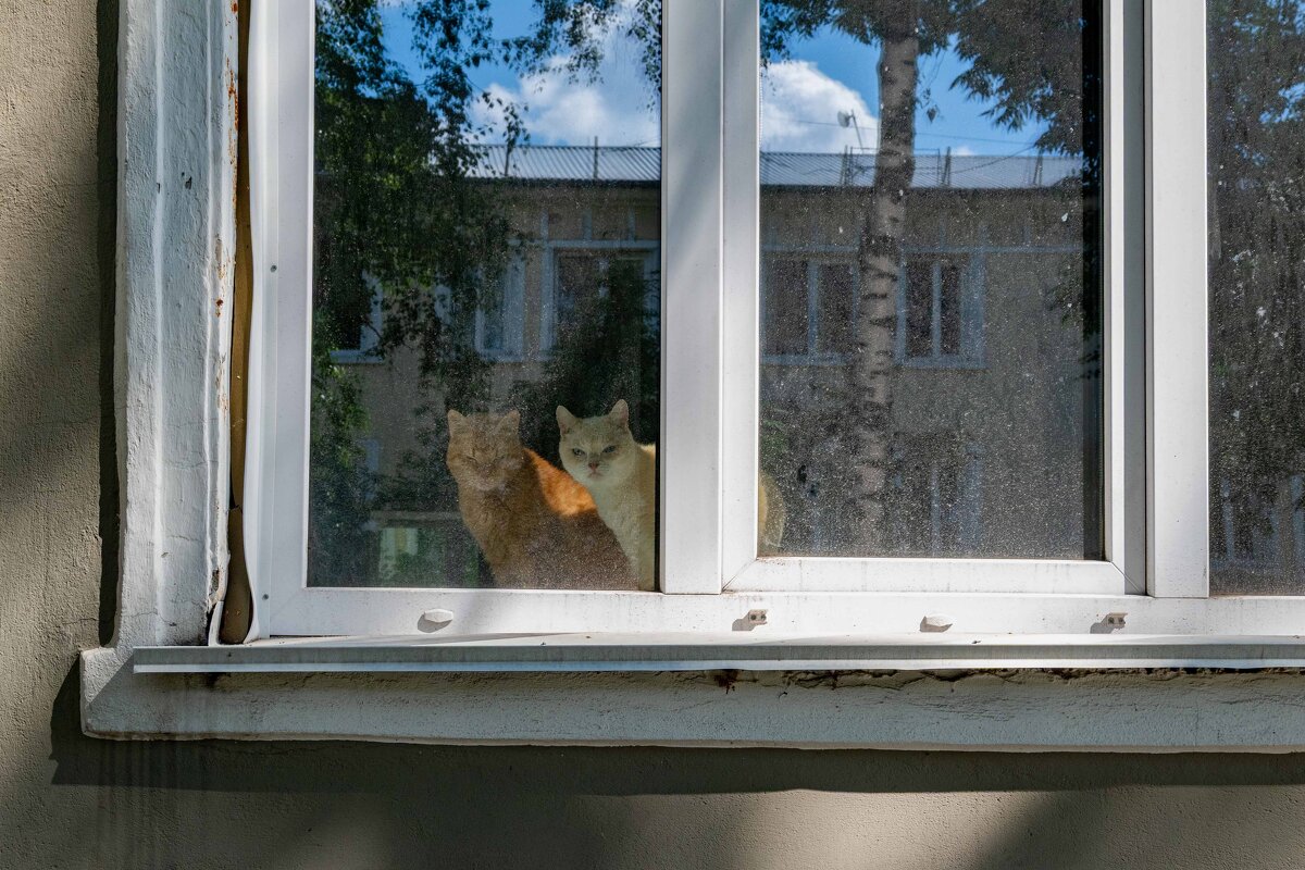 *** - Валерий Михмель 