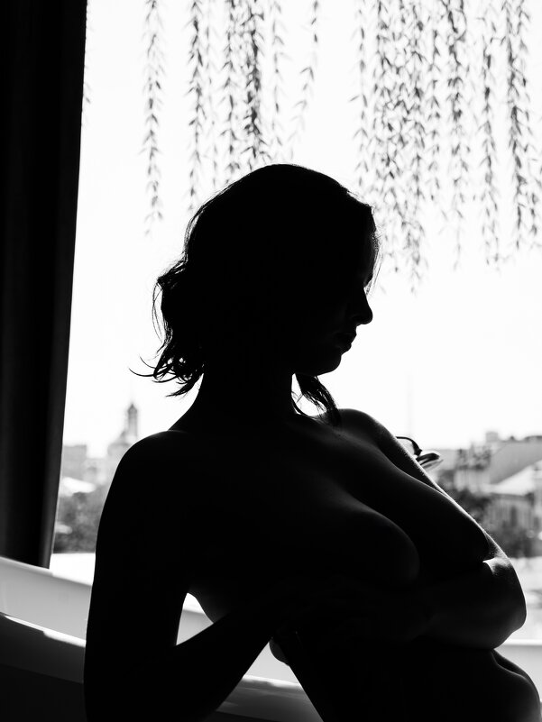 Силуэт - Максим 